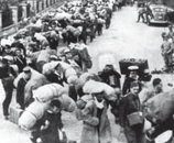 Dairy Farm quickly recovers from World War II